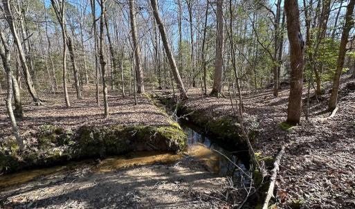 Photo #16 of SOLD property in Off Pole Run Rd, Disputanta, VA 114.0 acres