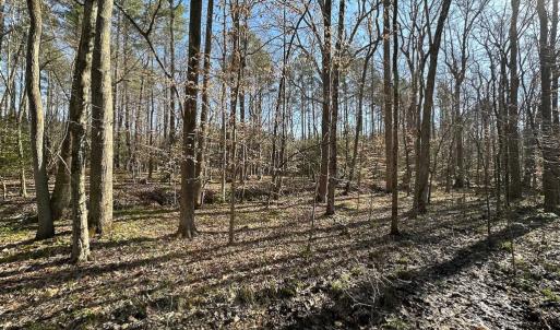 Photo #24 of SOLD property in Off Pole Run Rd, Disputanta, VA 114.0 acres
