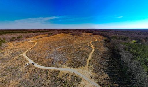 Photo #29 of SOLD property in Off Pole Run Rd, Disputanta, VA 114.0 acres