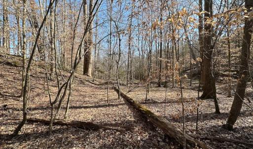 Photo #41 of SOLD property in Off Pole Run Rd, Disputanta, VA 114.0 acres