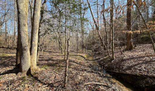 Photo #43 of SOLD property in Off Pole Run Rd, Disputanta, VA 114.0 acres