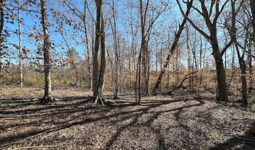 Photo #47 of SOLD property in Off Pole Run Rd, Disputanta, VA 114.0 acres