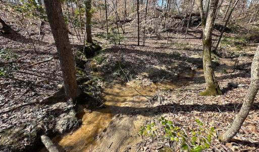 Photo #48 of SOLD property in Off Pole Run Rd, Disputanta, VA 114.0 acres