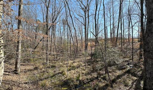 Photo #49 of SOLD property in Off Pole Run Rd, Disputanta, VA 114.0 acres