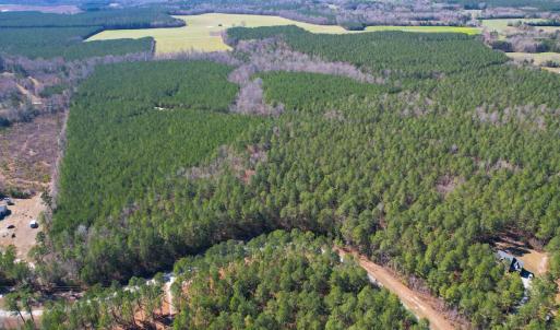 Photo #2 of SOLD property in Off Spring Farm Rd, Dendron, VA 20.0 acres