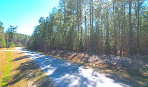 Photo #5 of SOLD property in Off Spring Farm Rd, Dendron, VA 20.0 acres