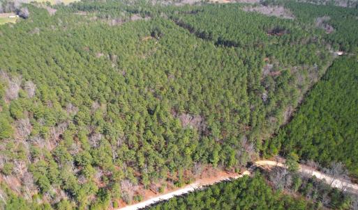Photo #9 of SOLD property in Off Spring Farm Rd, Dendron, VA 20.0 acres