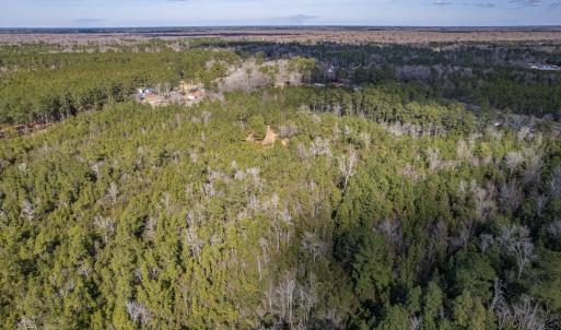 Photo #9 of SOLD property in Off Hallsboro Road, Whiteville, NC 32.7 acres
