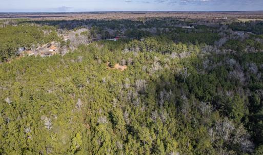 Photo #10 of SOLD property in Off Hallsboro Road, Whiteville, NC 32.7 acres