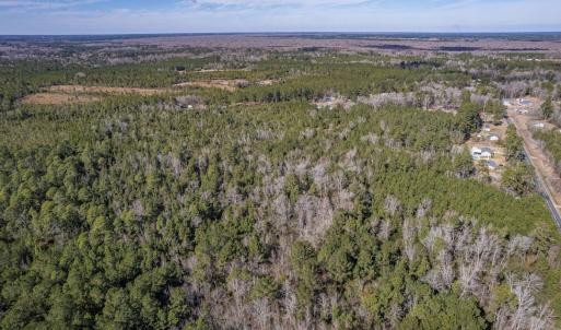 Photo #12 of SOLD property in Off Hallsboro Road, Whiteville, NC 32.7 acres