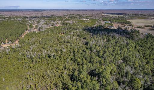 Photo #13 of SOLD property in Off Hallsboro Road, Whiteville, NC 32.7 acres