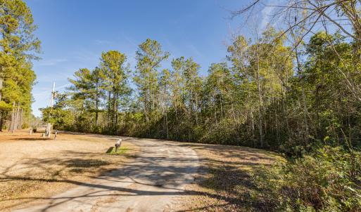 Photo #17 of SOLD property in Off Hallsboro Road, Whiteville, NC 32.7 acres