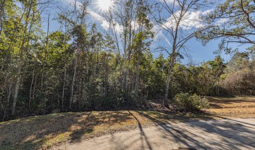 Photo #18 of SOLD property in Off Hallsboro Road, Whiteville, NC 32.7 acres