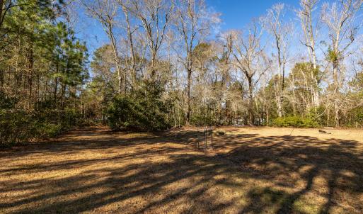 Photo #19 of SOLD property in Off Hallsboro Road, Whiteville, NC 32.7 acres