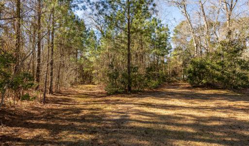 Photo #20 of SOLD property in Off Hallsboro Road, Whiteville, NC 32.7 acres