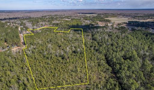 Photo #4 of SOLD property in Off Hallsboro Road, Whiteville, NC 32.7 acres