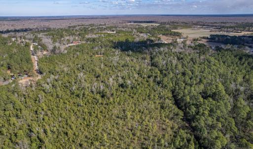 Photo #5 of SOLD property in Off Hallsboro Road, Whiteville, NC 32.7 acres