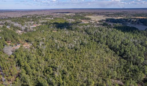 Photo #6 of SOLD property in Off Hallsboro Road, Whiteville, NC 32.7 acres
