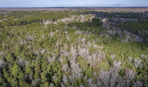 Photo #8 of SOLD property in Off Hallsboro Road, Whiteville, NC 32.7 acres