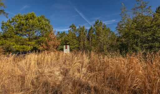 Photo #21 of SOLD property in Off Hallsboro Road, Whiteville, NC 32.7 acres
