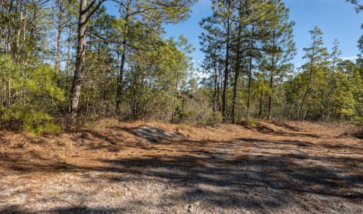 Photo #24 of SOLD property in Off Hallsboro Road, Whiteville, NC 32.7 acres