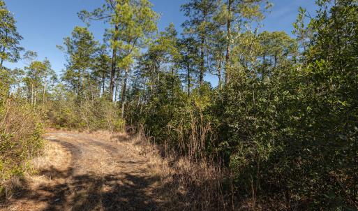 Photo #25 of SOLD property in Off Hallsboro Road, Whiteville, NC 32.7 acres