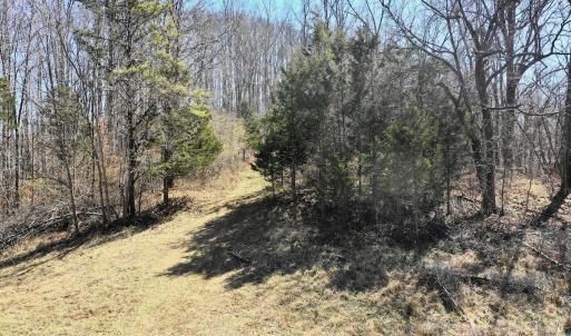 Photo #16 of Off Tower Road, Tract 2 and Pt Tract 2, Christiansburg, VA 19.7 acres