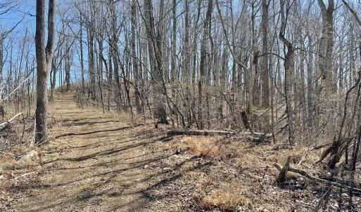 Photo #18 of Off Tower Road, Tract 2 and Pt Tract 2, Christiansburg, VA 19.7 acres