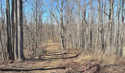 Photo #21 of Off Tower Road, Tract 2 and Pt Tract 2, Christiansburg, VA 19.7 acres