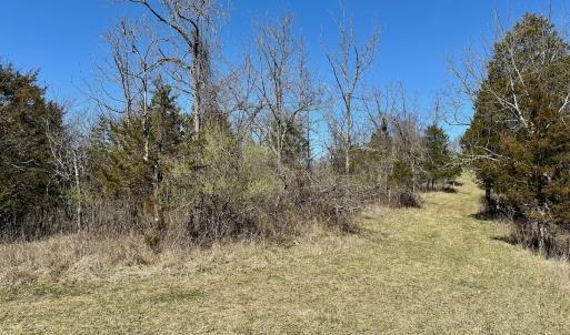 Photo #6 of Off Tower Road, Tract 2 and Pt Tract 2, Christiansburg, VA 19.7 acres