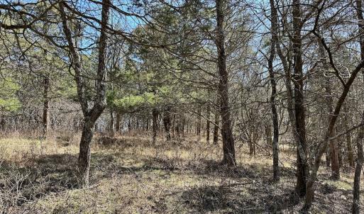 Photo #7 of Off Tower Road, Tract 2 and Pt Tract 2, Christiansburg, VA 19.7 acres