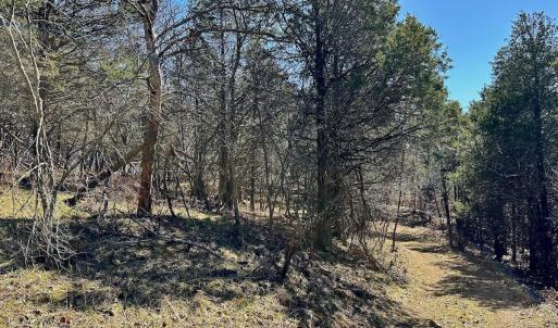 Photo #8 of Off Tower Road, Tract 2 and Pt Tract 2, Christiansburg, VA 19.7 acres