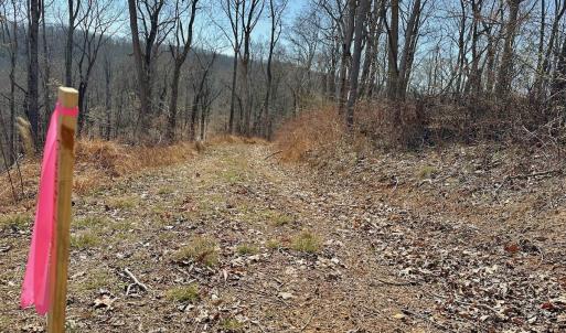 Photo #22 of Off Tower Road, Tract 2 and Pt Tract 2, Christiansburg, VA 19.7 acres