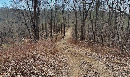 Photo #23 of Off Tower Road, Tract 2 and Pt Tract 2, Christiansburg, VA 19.7 acres