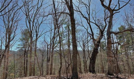 Photo #25 of Off Tower Road, Tract 2 and Pt Tract 2, Christiansburg, VA 19.7 acres