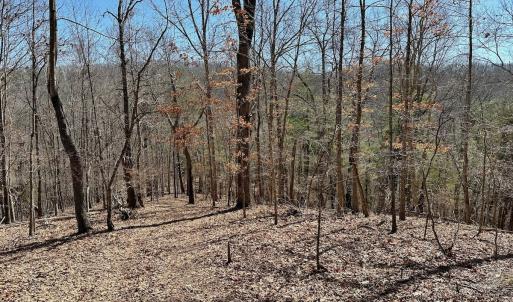 Photo #26 of Off Tower Road, Tract 2 and Pt Tract 2, Christiansburg, VA 19.7 acres
