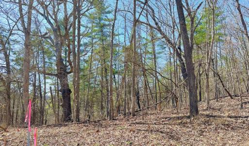 Photo #28 of Off Tower Road, Tract 2 and Pt Tract 2, Christiansburg, VA 19.7 acres