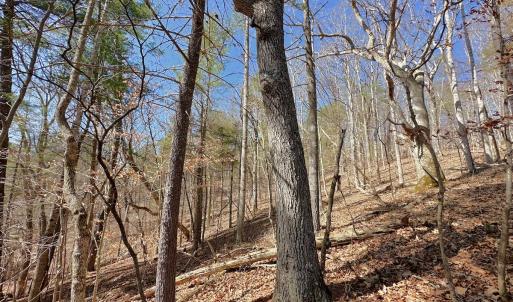 Photo #32 of Off Tower Road, Tract 2 and Pt Tract 2, Christiansburg, VA 19.7 acres