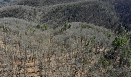 Photo #34 of Off Tower Road, Tract 2 and Pt Tract 2, Christiansburg, VA 19.7 acres