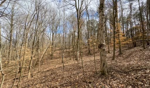 Photo #5 of SOLD property in Off Howle Drive, Burlington, NC 1.7 acres