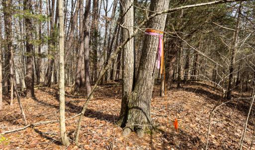 Photo #13 of SOLD property in Off Howle Drive, Burlington, NC 1.7 acres
