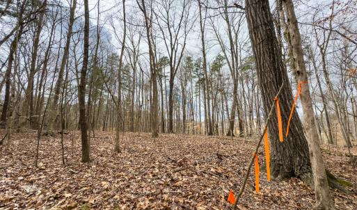 Photo #26 of SOLD property in Off Howle Drive, Burlington, NC 1.7 acres