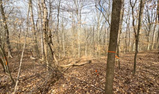 Photo #39 of SOLD property in Off Howle Drive, Burlington, NC 1.7 acres