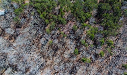 Photo #40 of SOLD property in Off Howle Drive, Burlington, NC 1.7 acres