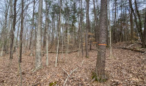 Photo #50 of SOLD property in Off Howle Drive, Burlington, NC 1.7 acres