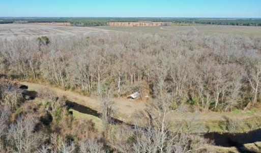 Photo #20 of SOLD property in 442 Pine Street, Trenton, NC 1.0 acres