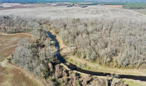 Photo #36 of SOLD property in 442 Pine Street, Trenton, NC 1.0 acres