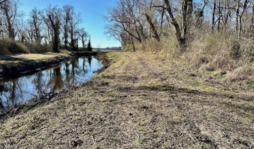 Photo #48 of SOLD property in 442 Pine Street, Trenton, NC 1.0 acres