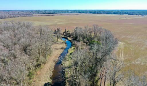 Photo #58 of SOLD property in 442 Pine Street, Trenton, NC 1.0 acres