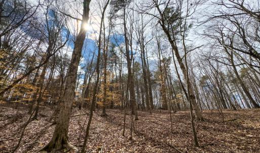 Photo #8 of Off Howle Drive, Burlington, NC 0.9 acres